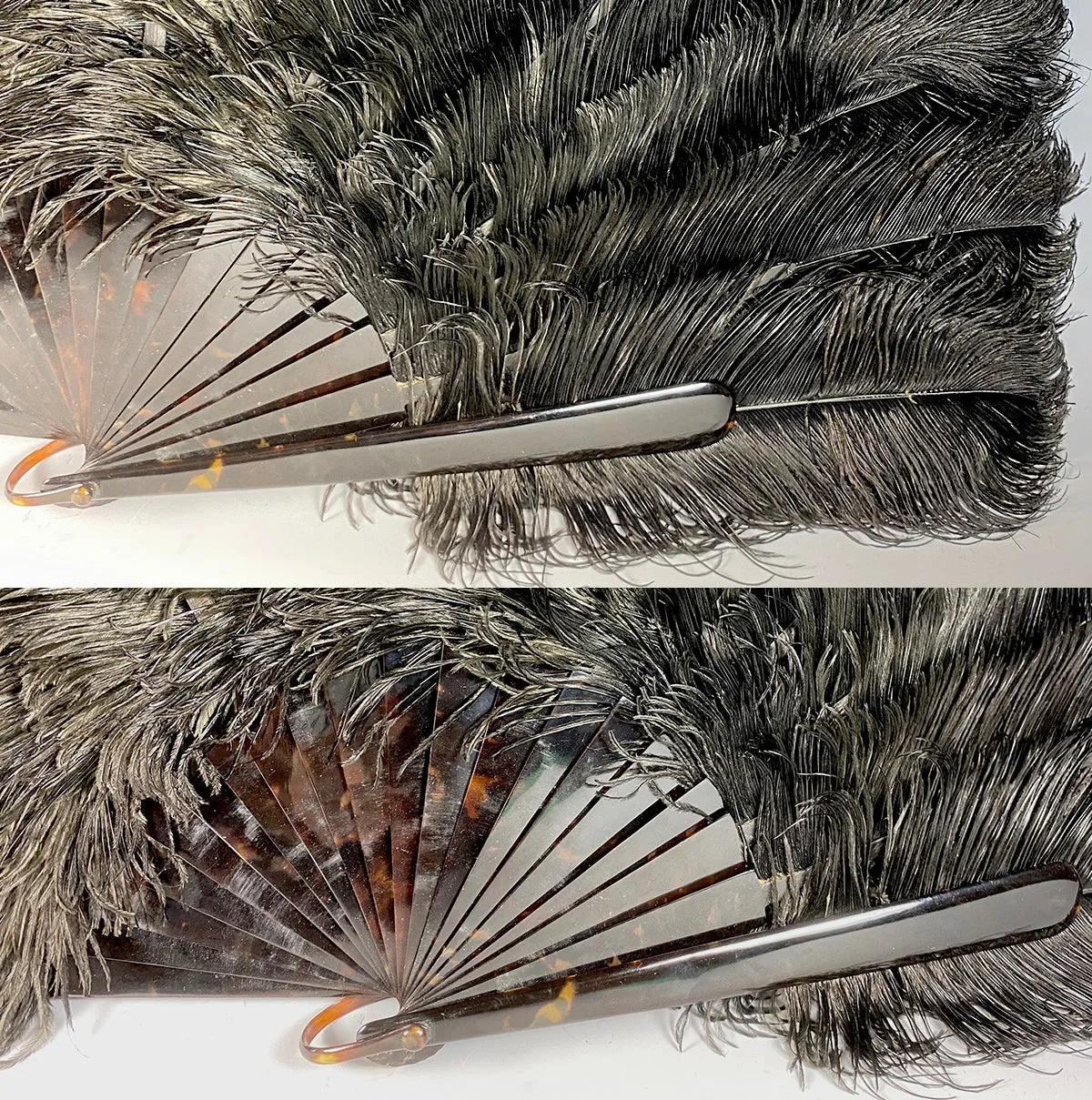 Antique French Hand Fan, 78 cm Span, Black Ostrich Feather and Tortoise Shell Monture, Edwardian