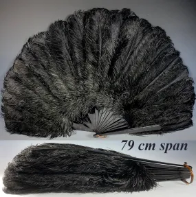 Antique French Hand Fan, 78 cm Span, Black Ostrich Feather and Tortoise Shell Monture, Edwardian