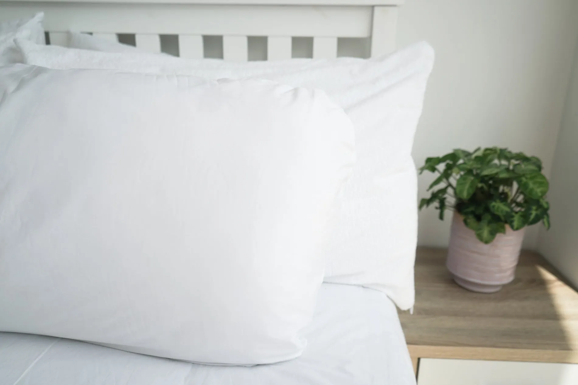 Body Pillow | 100% Cotton Pillowcase