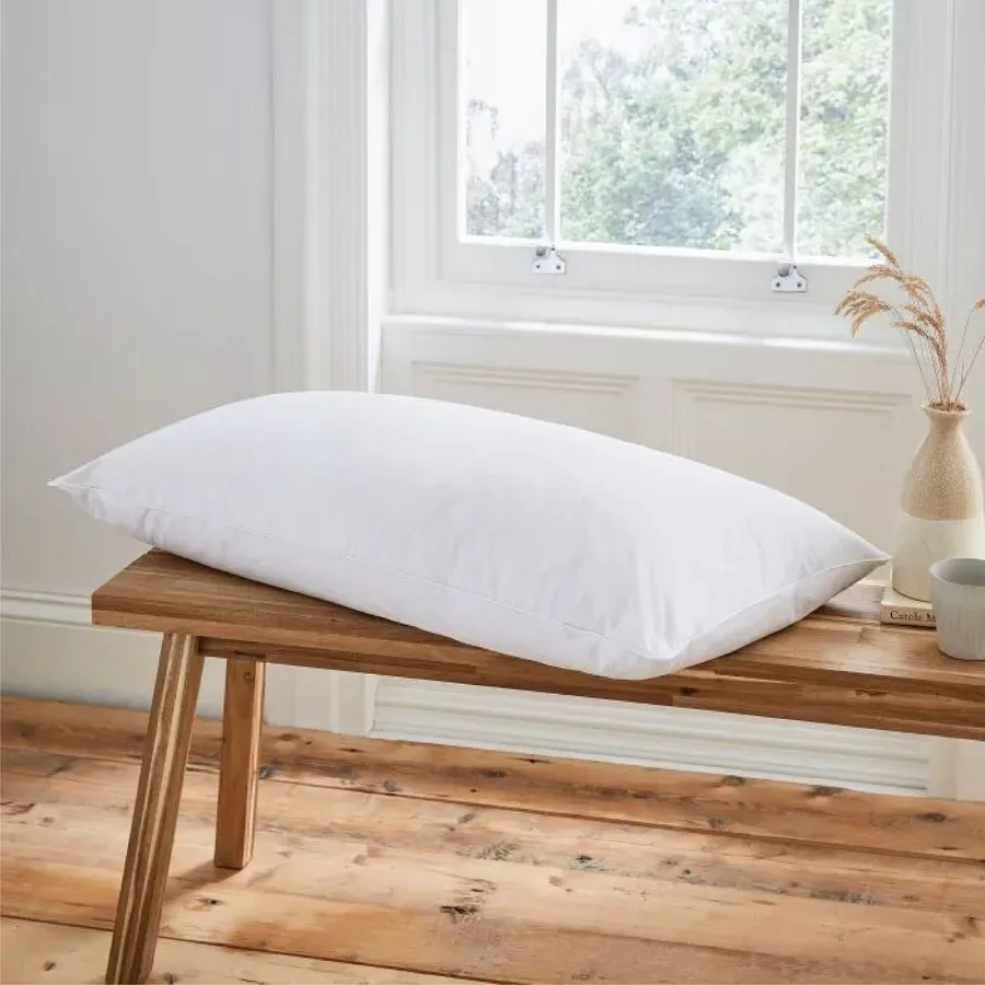 Goose Feather Premium Down Pillows (Set of 2)