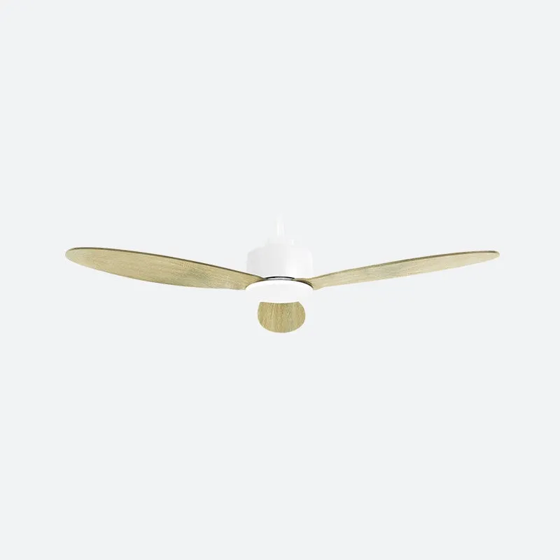 SDVE Scandinavian Decor Fans (NLO)