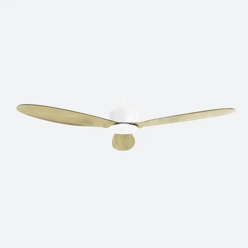 SDVE Scandinavian Decor Fans (NLO)