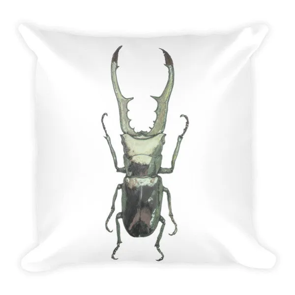 Stag Beetle by Robert Bowen Cushion