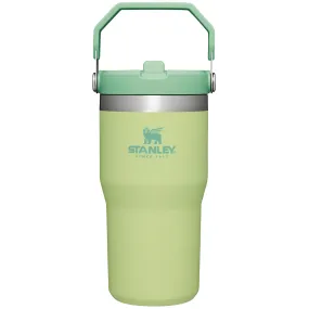 Stanley IceFlow 20 oz Flip Straw Tumbler-Citron