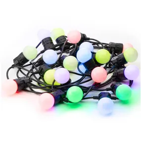 Twinkly Pro RGB Festoon LED String Light, 32.8 ft, 20 G45 Lamps, 24V